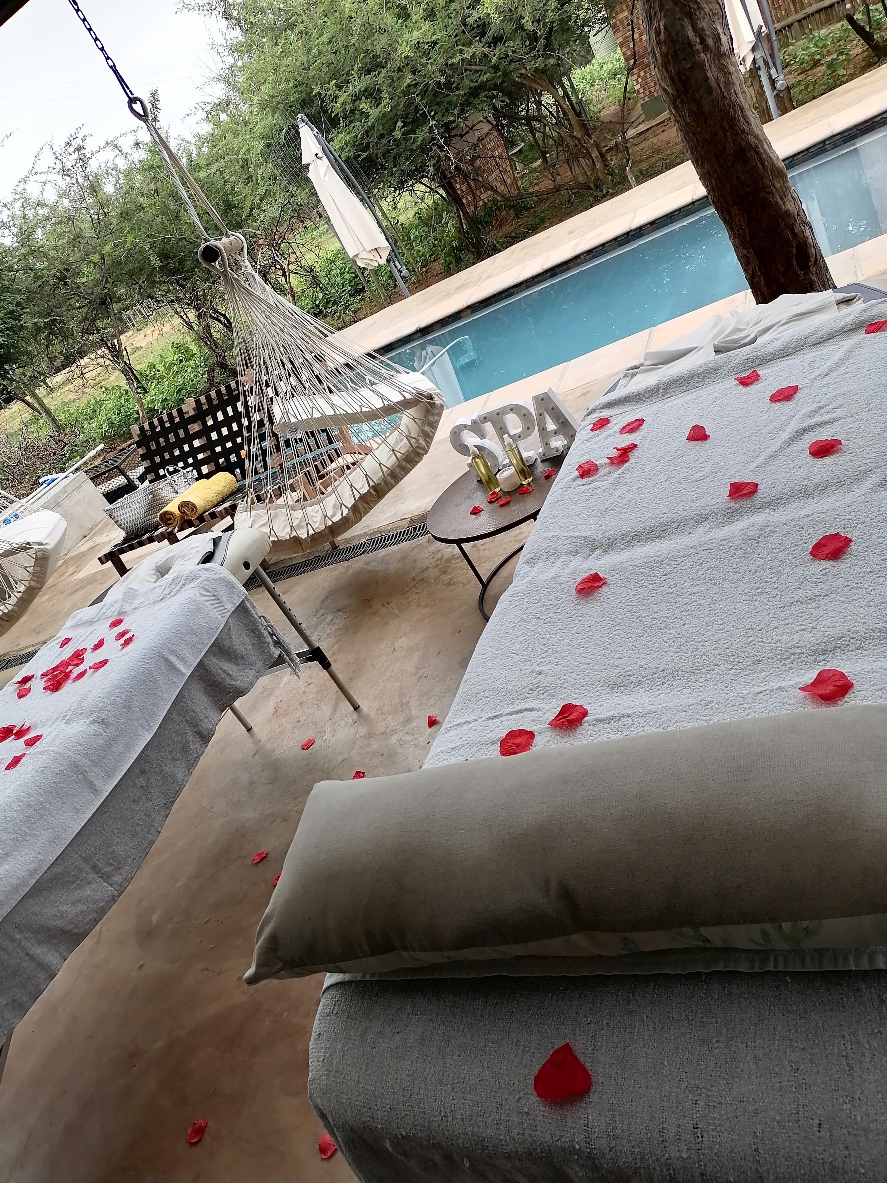 Professional mobile spa treatment